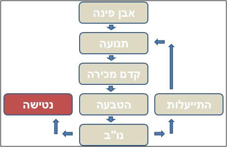 ib מודל למחזור חיים של עסק באינטרנט